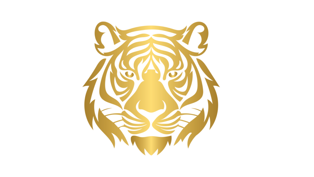 site brabos elementos (3)